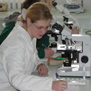 Labor Mikrobiologie