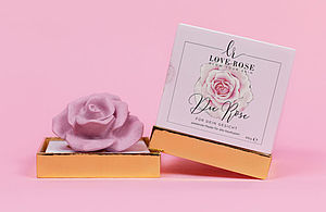 Usability Test für das Start up "Love Rose" aus der Kosmetikbranche 