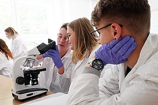 Schülerinnen und Schüler arbeiten gemeinsam am Mikroskop