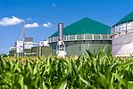 Biogasanlage - davor ein Maisfeld