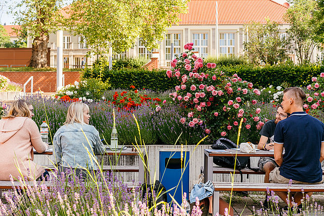 Studierende sitzen zusammen auf den Bänken neben der großen Treppe auf dem Campus der Hochschule. Im Hintergrund blühen Rosen und Lavendel.