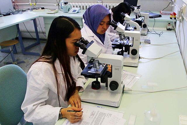 Studierende des Staatlichen Studienkollegs experimentieren im gentechnischen Labor der FHN