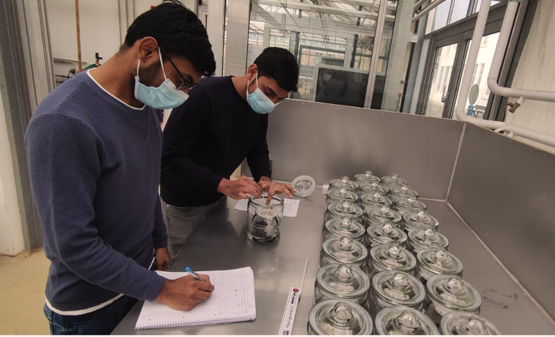 Indische Studierende bei der Durchführung von biologischen Tests an Klärschlammpyrolysaten