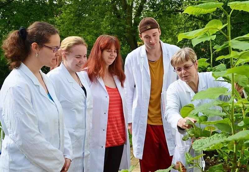 Eine Gruppe von sechs Personen in weißen Laborkitteln steht im Freien neben einer Pflanzenkläranlage. Eine der Personen, die sich vorne rechts befindet, zeigt auf eine große Pflanze, während die anderen aufmerksam zuhören. Die Umgebung ist von grünen Bäumen umgeben.