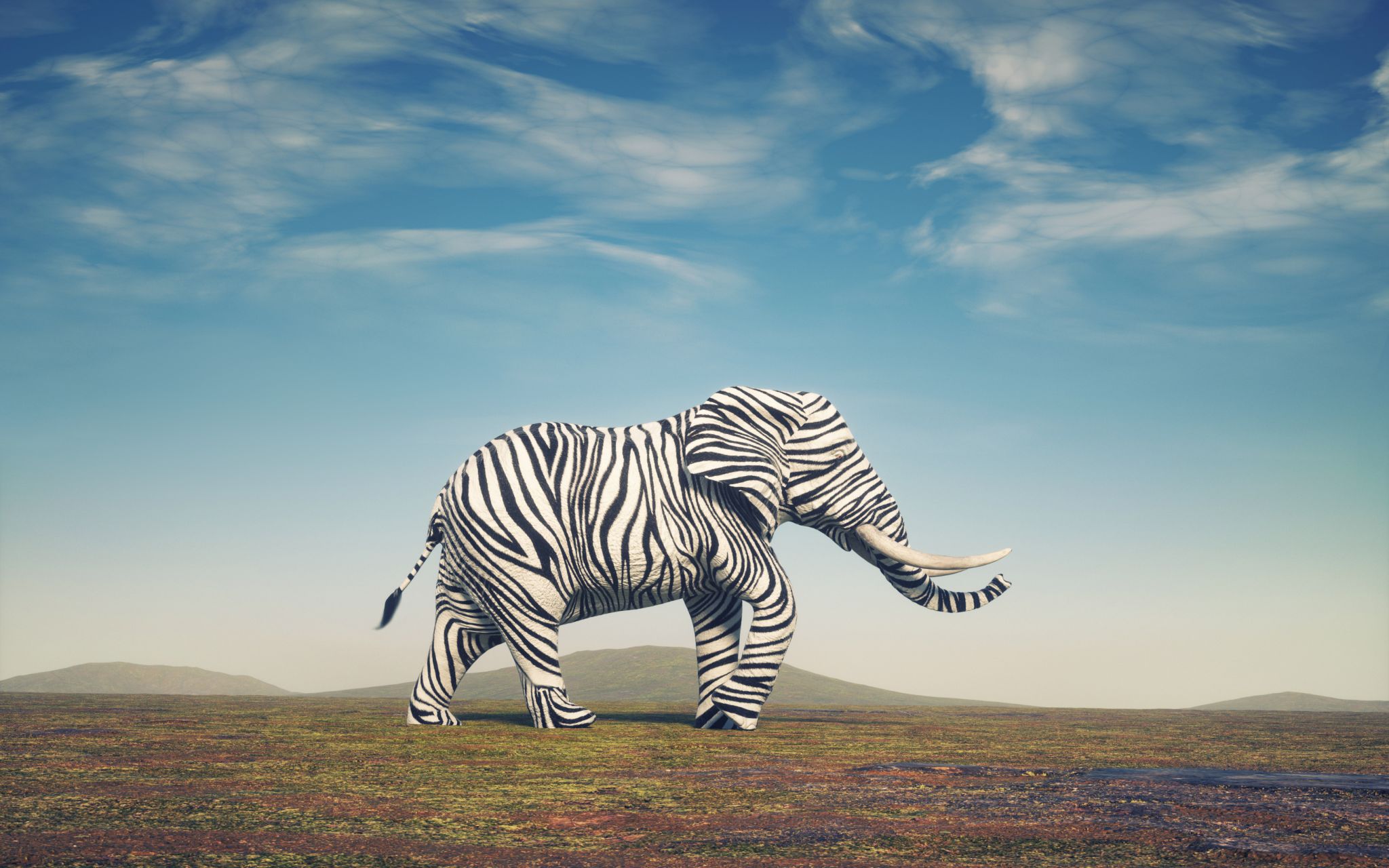 An elephant with zebra stripes.