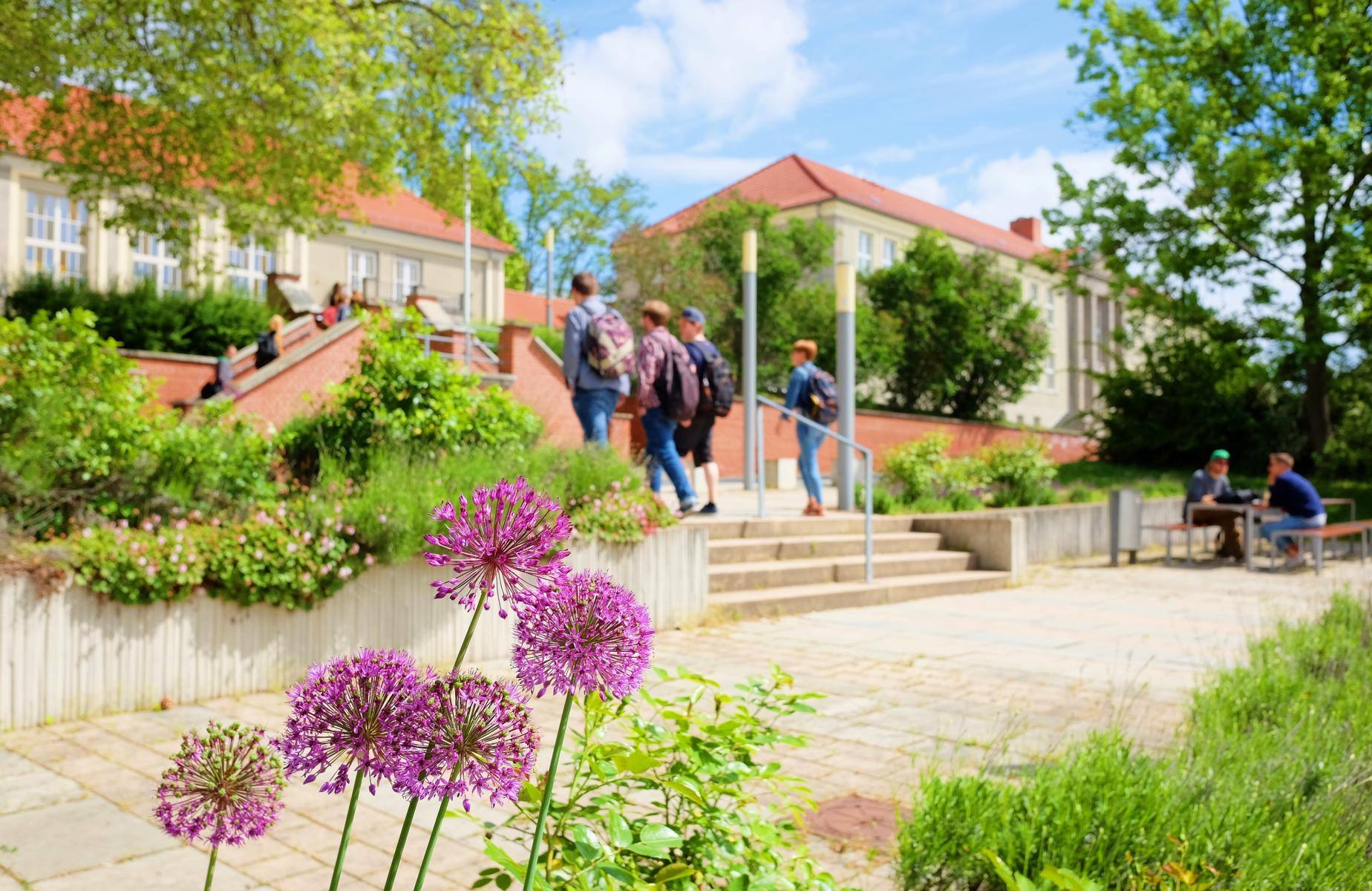 Flowers in bloom, students on campus.